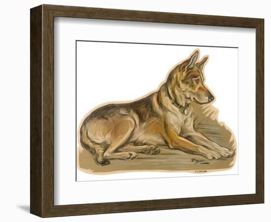 Dogs, German Shepherd, Dawson-Lucy Dawson-Framed Photographic Print