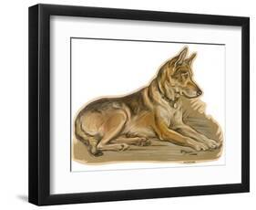 Dogs, German Shepherd, Dawson-Lucy Dawson-Framed Photographic Print