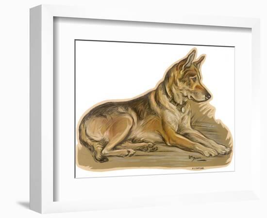 Dogs, German Shepherd, Dawson-Lucy Dawson-Framed Photographic Print