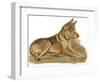 Dogs, German Shepherd, Dawson-Lucy Dawson-Framed Photographic Print