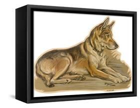 Dogs, German Shepherd, Dawson-Lucy Dawson-Framed Stretched Canvas