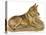 Dogs, German Shepherd, Dawson-Lucy Dawson-Stretched Canvas