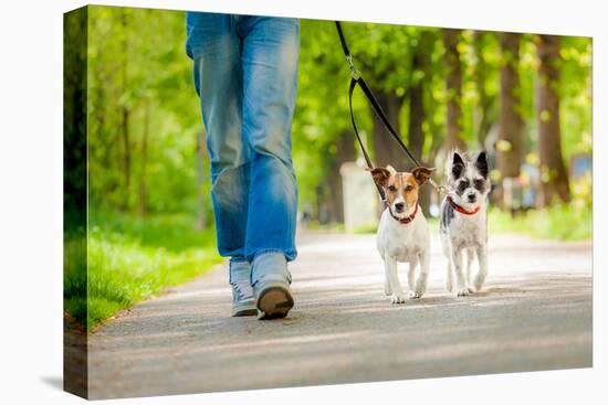 Dogs Going for A Walk-Javier Brosch-Stretched Canvas
