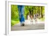 Dogs Going for A Walk-Javier Brosch-Framed Photographic Print