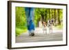 Dogs Going for A Walk-Javier Brosch-Framed Photographic Print