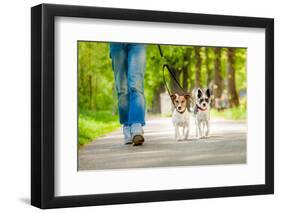 Dogs Going for A Walk-Javier Brosch-Framed Photographic Print