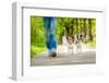 Dogs Going for A Walk-Javier Brosch-Framed Photographic Print