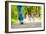 Dogs Going for A Walk-Javier Brosch-Framed Photographic Print