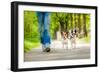 Dogs Going for A Walk-Javier Brosch-Framed Photographic Print