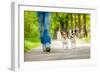 Dogs Going for A Walk-Javier Brosch-Framed Photographic Print