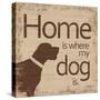 Dogs Home B-Lauren Gibbons-Stretched Canvas