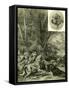 Dogs Hunting Austria 1891-null-Framed Stretched Canvas