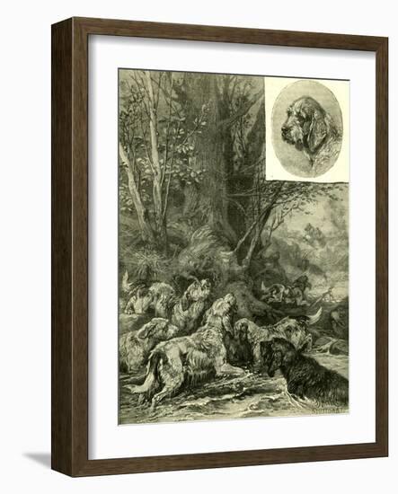 Dogs Hunting Austria 1891-null-Framed Giclee Print