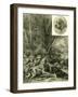 Dogs Hunting Austria 1891-null-Framed Giclee Print