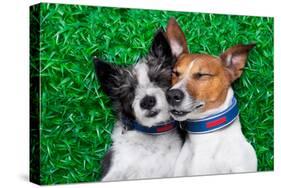 Dogs in Love-Javier Brosch-Stretched Canvas