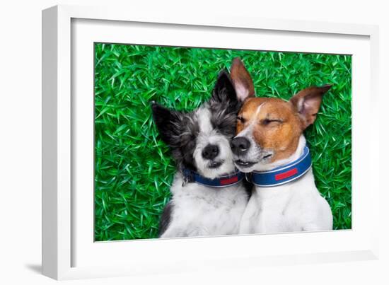 Dogs in Love-Javier Brosch-Framed Photographic Print