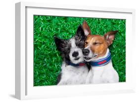 Dogs in Love-Javier Brosch-Framed Photographic Print