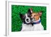 Dogs in Love-Javier Brosch-Framed Photographic Print