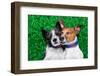 Dogs in Love-Javier Brosch-Framed Photographic Print