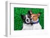 Dogs in Love-Javier Brosch-Framed Photographic Print