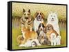 Dogs in May-Pat Scott-Framed Stretched Canvas