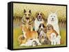 Dogs in May-Pat Scott-Framed Stretched Canvas