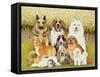 Dogs in May-Pat Scott-Framed Stretched Canvas