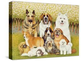 Dogs in May-Pat Scott-Stretched Canvas