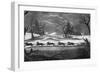 Dogs in Siberia-null-Framed Photographic Print