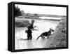 Dogs in Vietnam-Associated Press-Framed Stretched Canvas