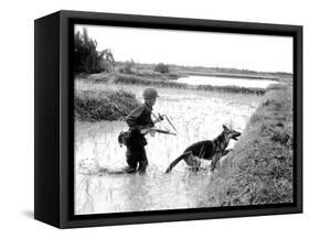 Dogs in Vietnam-Associated Press-Framed Stretched Canvas