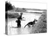 Dogs in Vietnam-Associated Press-Stretched Canvas