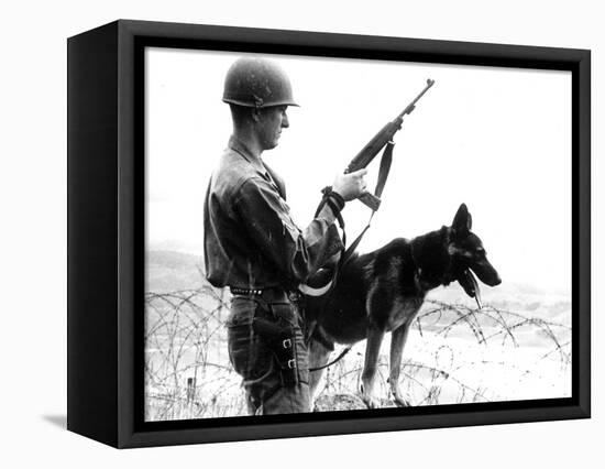 Dogs in Vietnam-Associated Press-Framed Stretched Canvas