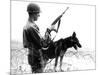 Dogs in Vietnam-Associated Press-Mounted Photographic Print