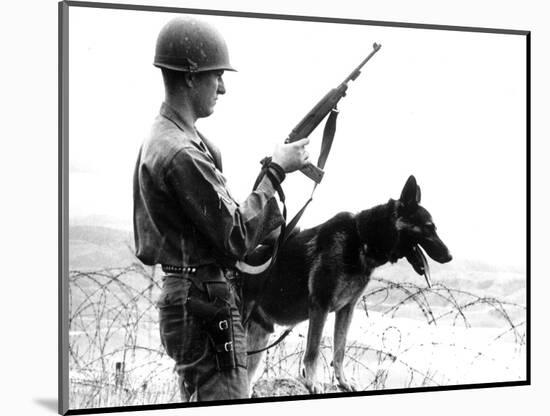 Dogs in Vietnam-Associated Press-Mounted Photographic Print