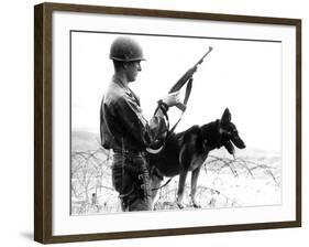 Dogs in Vietnam-Associated Press-Framed Photographic Print