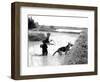 Dogs in Vietnam-Associated Press-Framed Photographic Print