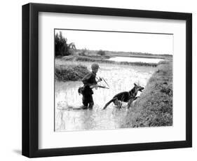 Dogs in Vietnam-Associated Press-Framed Photographic Print