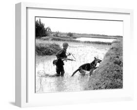 Dogs in Vietnam-Associated Press-Framed Photographic Print