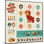 Dogs Infographics - Vector Illustration and Icon Set-Marish-Mounted Art Print