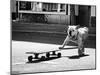 Dogs Just Want to Have Fun-Claudia Leverentz-Mounted Photographic Print