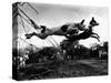 Dogs Leaping Over Wire Fence-Layne Kennedy-Stretched Canvas