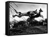 Dogs Leaping Over Wire Fence-Layne Kennedy-Framed Stretched Canvas