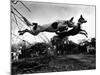 Dogs Leaping Over Wire Fence-Layne Kennedy-Mounted Photographic Print