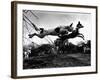 Dogs Leaping Over Wire Fence-Layne Kennedy-Framed Photographic Print