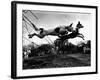 Dogs Leaping Over Wire Fence-Layne Kennedy-Framed Photographic Print