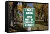 Dogs Must Be Leashed Sign in Front of Park in Ridgeway Colorado-Joseph Sohm-Framed Stretched Canvas