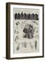 Dogs of All Nations at the Westminster Aquarium-Cecil Aldin-Framed Giclee Print