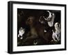 Dogs of Medici Family, Painting by Unknown Artist, Italy-null-Framed Giclee Print