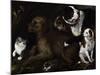Dogs of Medici Family, Painting by Unknown Artist, Italy-null-Mounted Giclee Print